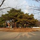 큰솔공원 이미지