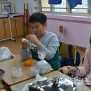 송해초등학교 이미지