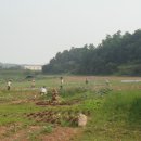 초지농장 이미지