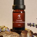 생활 속 힐링 아로마테라피 이미지