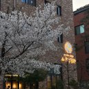 외동읍 행정복지센터 1층 정문 화장실 | 봉담2지구 곱창전골 맛집 한제소곱창전골 직영점 찐 솔직후기