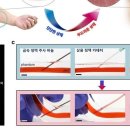 체내에서 부드러워져 혈관·조직 손상 막는 주삿바늘 개발 이미지