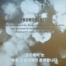 코모레비 네이버블로그
