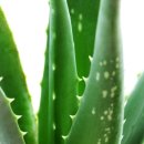 미드림의원 이미지