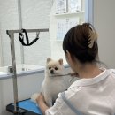 코트니룸 이미지