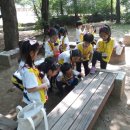 로뎅유치원 이미지