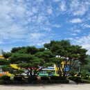 월곡초등학교삼계분교장 이미지