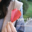 얀스토리(Story) 이미지