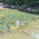 산중펜션 이미지