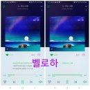 벨로하