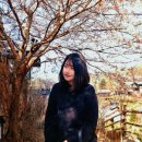 한국GM구미중앙바로서비스 | 서울 근교 동두천 일본마을과 료칸, 니지모리 스튜디오
