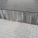 백화