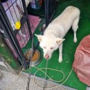 도란도란동물병원 이미지