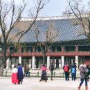 종로-종로-종로-종-224 이미지