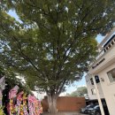 김동규 10월의 어느 멋진 날에 | 라비두스 웨딩홀 서울 중구 충무로 야외결혼식