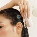 스킨N스칼프 이미지