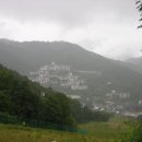 정영목장 Daum카페