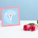 로아산부인과의원 이미지