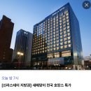 스테이놀 이미지