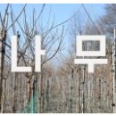 이목농원 이미지