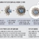 생성의 대지-비상 이미지