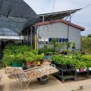 형지농장 이미지