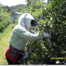 갈태농원 이미지