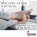레푸스 춘천후평점