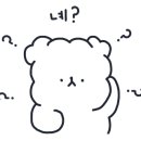 라온애견펜션 이미지