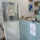 이쁘냥 고양이미용실 대전점 이미지