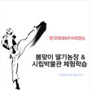 한국체대MTA태권도장 네이버블로그
