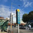 주리미용실 - 논산시 옥녀봉로35번길 11-2 | [방문후기] 청담 미용실 박준뷰티랩 주리디자이너님 애쉬브라운 웨딩염색 후기