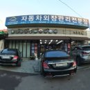 럭키덴트칼라
