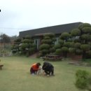 탄도 섬마을 이미지