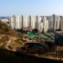 포항시청 농구장