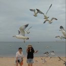 왕산해수욕장 이미지