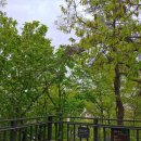 백마편의점 이미지