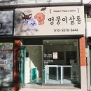 멍뭉이 살롱 이미지