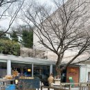 카페 모차르트 502 | 예술의 전당 낮맥 모차르트 502 카페 맥주와 커피