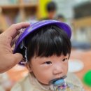왕궁로 | 웅진 북클럽 천사채 오감놀이 찐 후기(D+307)