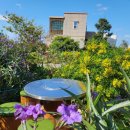 할망꽃쉼팡 민박 이미지