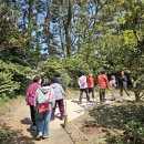 힐링캠프 이미지