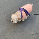 구산근린공원 이미지