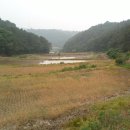 사기소리 이미지