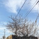 심복주 가옥 이미지