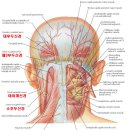 연세길한의원 이미지