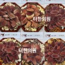 총명한의원 이미지