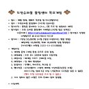 도안슈퍼볼 Daum카페