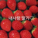 우방청과 네이버블로그