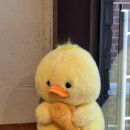 에쿵(Egg Kung)